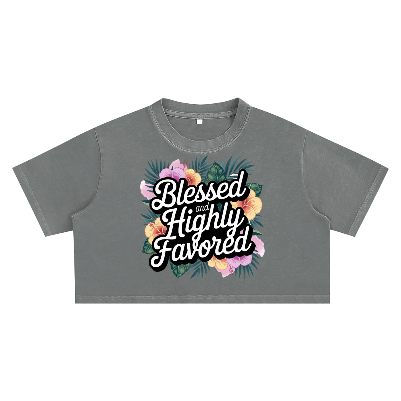 Snow Washed Crop Top