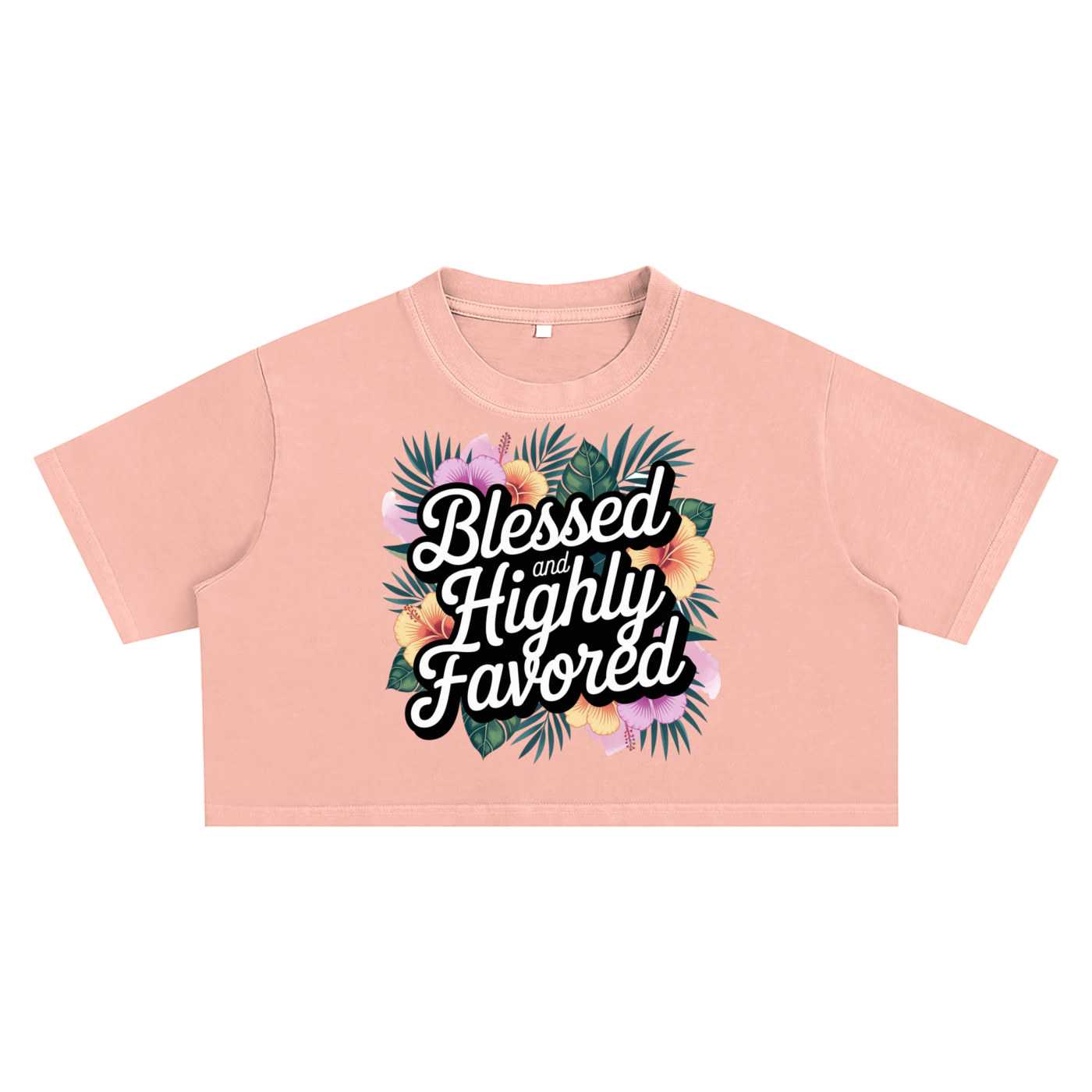 Snow Washed Crop Top